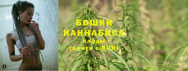 первитин Горнозаводск