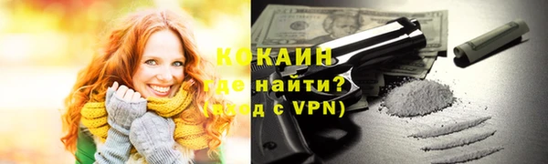 прущие грибы Вязники