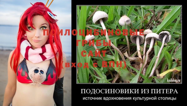первитин Горнозаводск