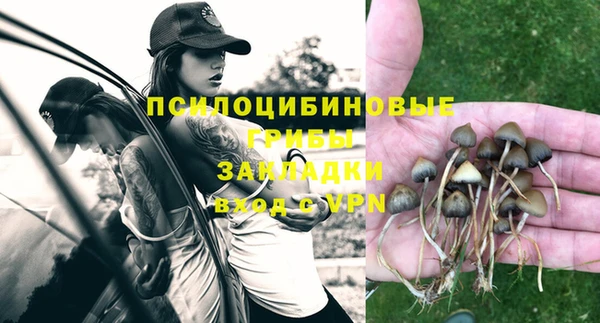 первитин Горнозаводск