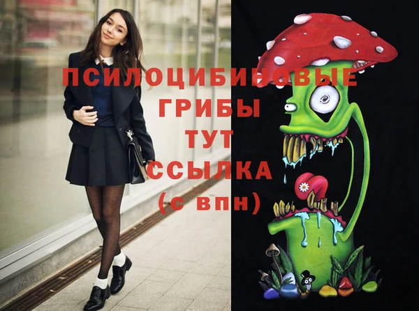первитин Горнозаводск