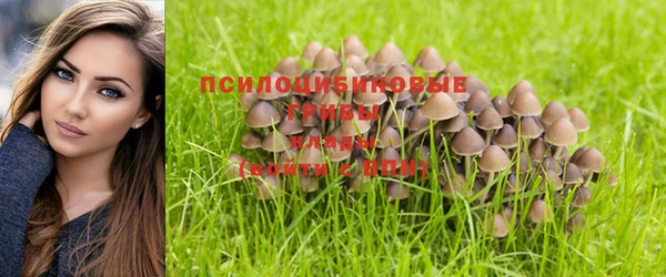 ешки Горно-Алтайск