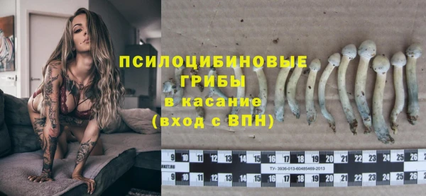 ешки Горно-Алтайск