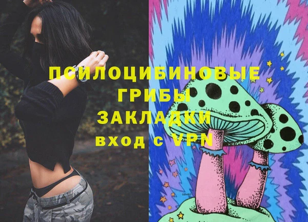 сатива Щучье